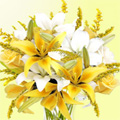 White Lily Flowers to India : Send Flowers to India : Flowers to India