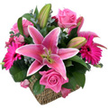 Flowers to India : Anniversary Flowers to India : Lily Flowers to India