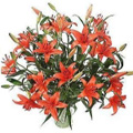 Send Birthday Flowers to India : Orange Lily Flowers to India