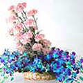 Flowers to India : Anniversary Flowers to India : Orchids and Carnations
