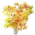 Yellow Orchids Flowers to India