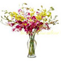 Flowers to India : Mixed Orchid Flowers to India