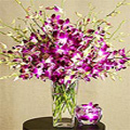 Purple Orchids Flowers to India: Send Flowers to India