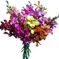 Send Flowers to India