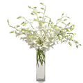 White Orchids Flowers to India: Send Flowers to India