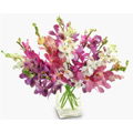 Flowers to India : Birthday Flowers to India
