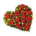 Birthday Flowers to india