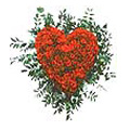 Send Birthday Flowers to India