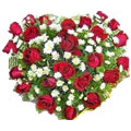Red Roses and White Daisies Heart of 50 Flowers to India