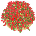 150 Flowers to India