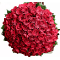 Red Roses: 200 Flowers to India