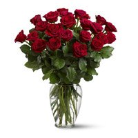 Flowers to India : Send Flowers to India