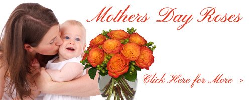 Mother's Day Roses to Panchkula