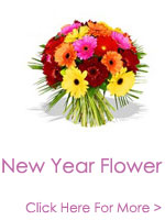 Send New Year Flowers to India