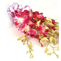 Flowers to India