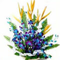 Send Flowers to India
