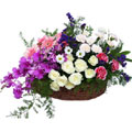 Send Flowers to India