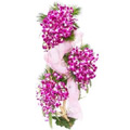 Flowers to India