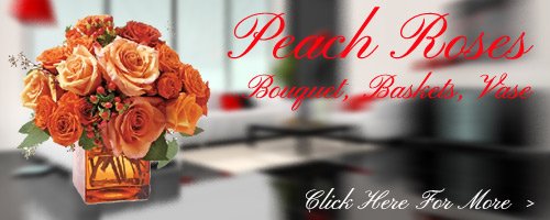 Peach Roses to Ernakulam