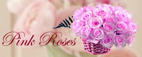 Pink Roses to India