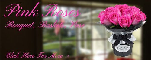 Pink Roses to Raipur
