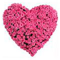 Valentines Flowers to India