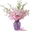 Send Flowers to India