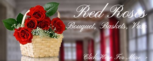 Red Roses to Rajkot