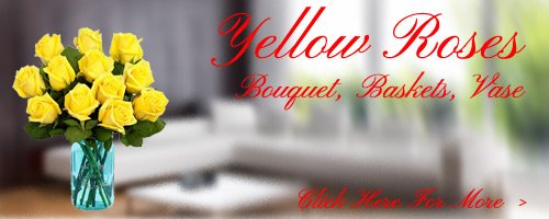 Yellow Roses to Vijayawada