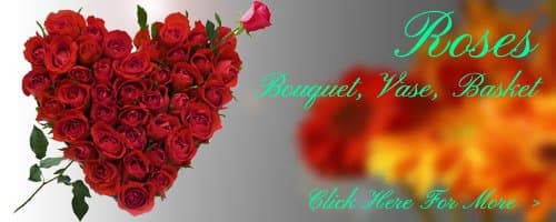 Birthday Roses to Baghpat