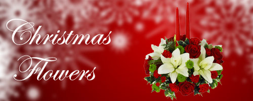 Christmas Flowers to Amravati