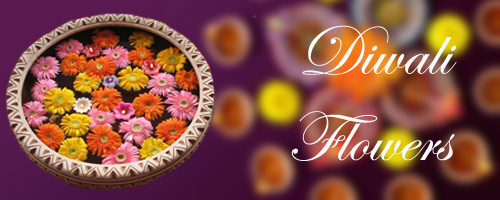 Send Online Flowers to Amravati
