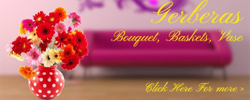 Gerbera Flowers to Baghpat
