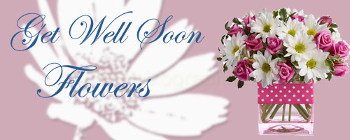 Get Well Soon Flowers to India