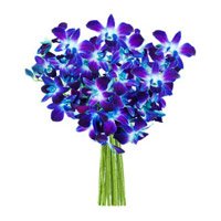 Send Flowers to India : Blue Orchids