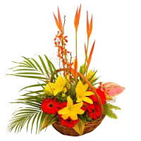 Online Delivery of Flowers to India