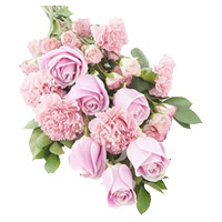 Best Diwali Flower Delivery in India including Pink Rose Carnation Bouquet 12 Flowers to India