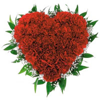 Send 100 Red Carnation Flower to India in Heart Arrangement