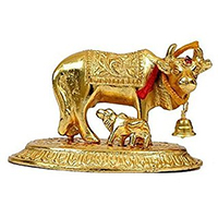 Gifts Delivery in India