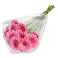 Deliver Diwali Flowers in Hyderabad. Pink Gerbera Bouquet 12 Flowers in India