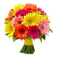 Send Diwali Flowers with 24 Mixed Gerbera India Flowers Bouquet
