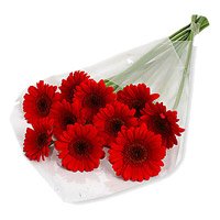 Get Well Soon Flower Delivery in India