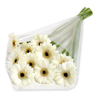 Send Friendship Day Flowers to India