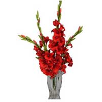 Send Online Flowers to India