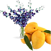 Send Blue Orchid Vase 6 Flowers Stem with 12 pcs Fresh Mango on Rakhi