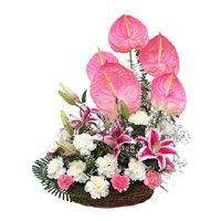 Send Carnation Flowers to India - Anthurium Basket