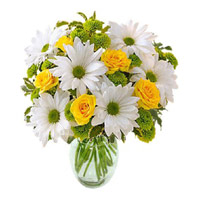 Online Valentine Flower Delivery in India - Anthurium Basket