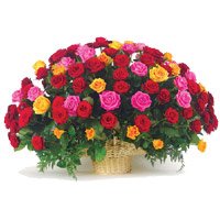Send Mixed Roses Basket 100 Flowers to India on Get Well Soon