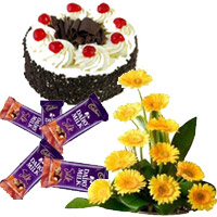 Best Arrangement of 12 yellow Gerbera with 5 Dairy Milk Silk(60 gm. each) and 1 kg Black Forest Cake in India Online