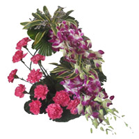 Flowers for Diwali that 6 Orchids 12 Pink Carnation Arrangement of luxurious Flowers Delivered in India